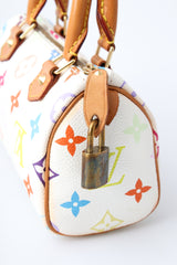 Louis Vuitton Multicolour Nano Speedy
