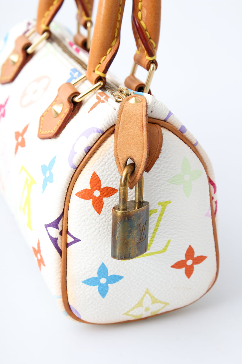 Louis Vuitton Multicolour Nano Speedy