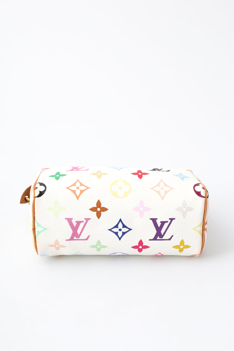 Louis Vuitton Multicolour Nano Speedy