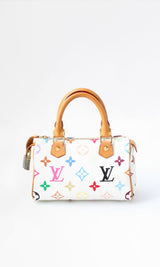 Louis Vuitton Multicolour Nano Speedy