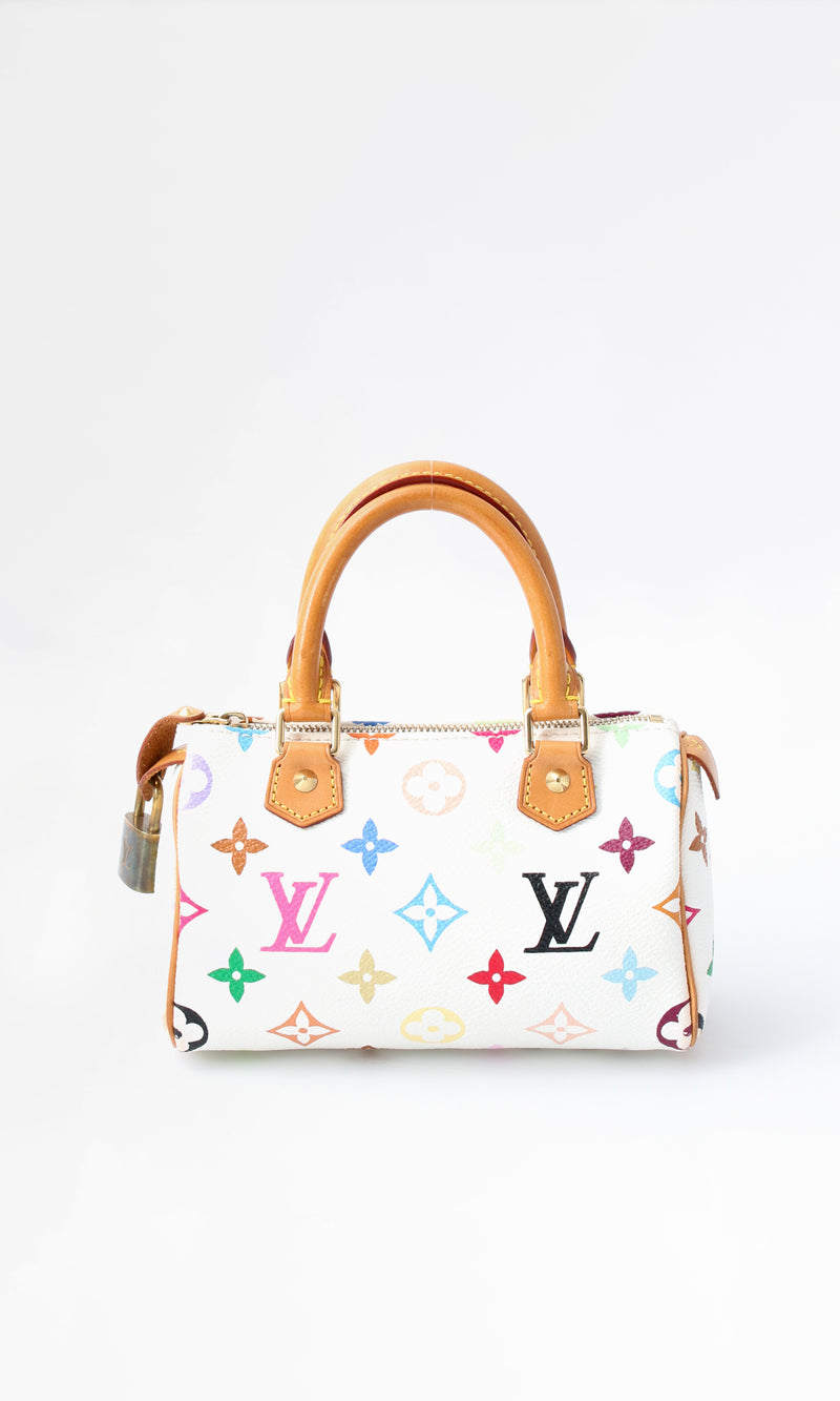 Louis Vuitton Multicolour Nano Speedy