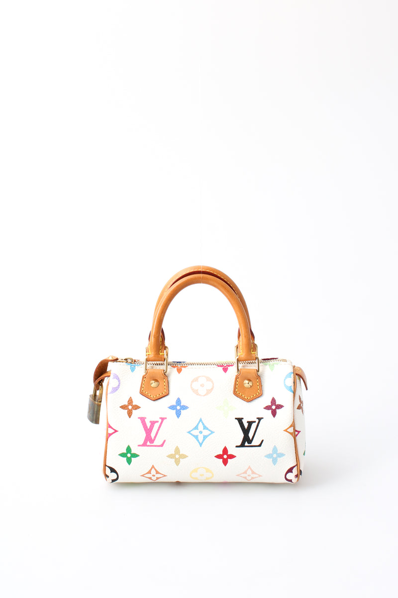 Louis Vuitton Multicolour Nano Speedy
