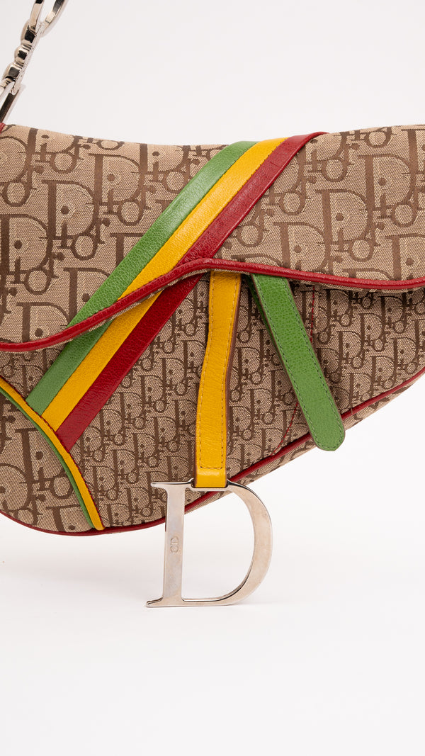 Dior Monogram Rasta Saddle Bag