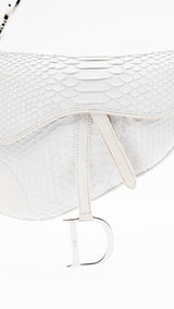 Dior Python Saddle Bag
