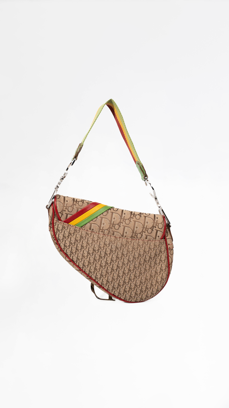 Dior Monogram Rasta Saddle Bag