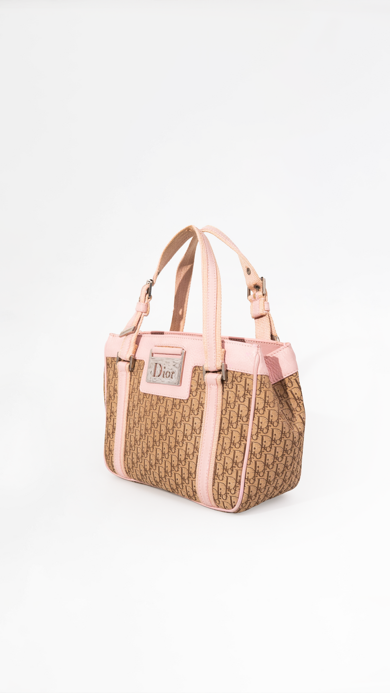 Dior Monogram Mini Boston Bag