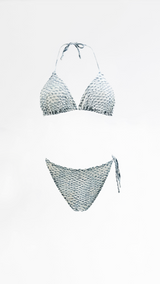 Roberto Cavalli Bikini