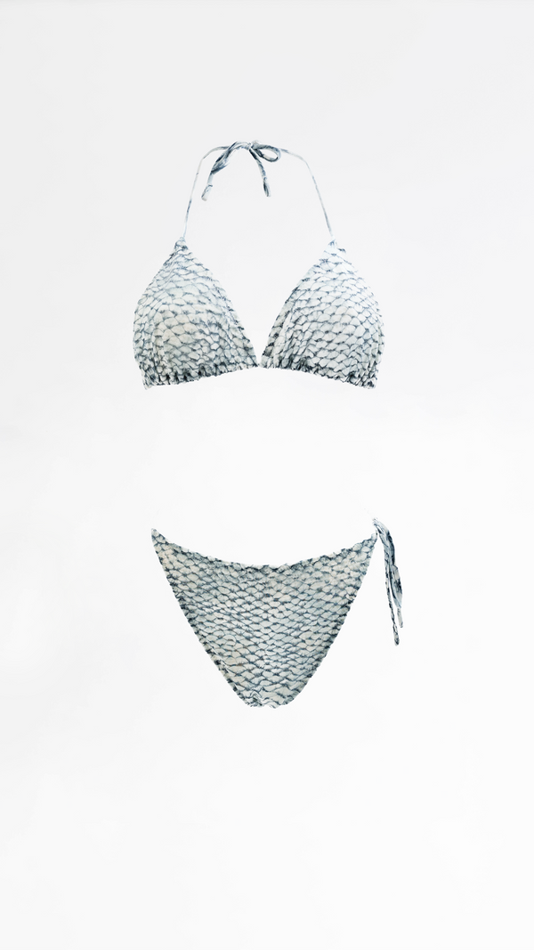 Roberto Cavalli Bikini