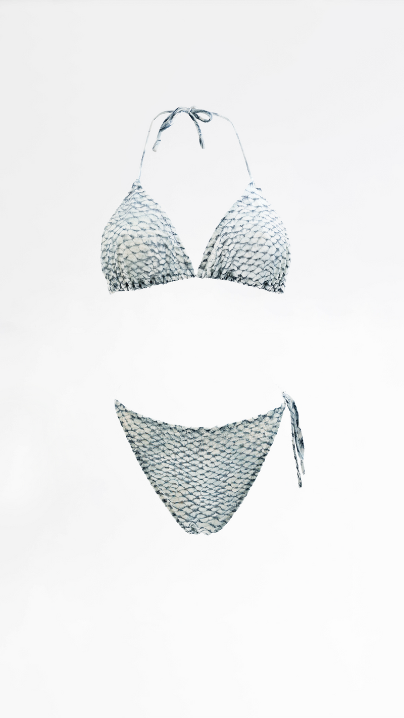 Roberto Cavalli Bikini