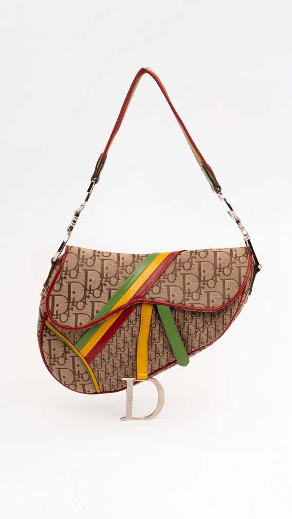 Dior Monogram Rasta Saddle Bag