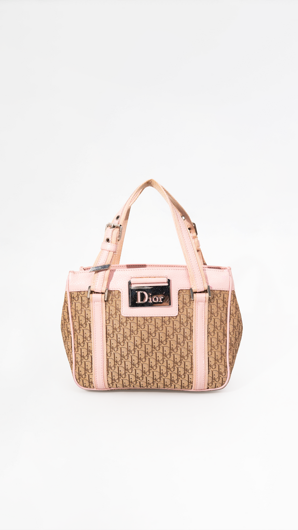 Dior Monogram Mini Boston Bag