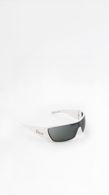 Dior Stelle/n Sunglasses