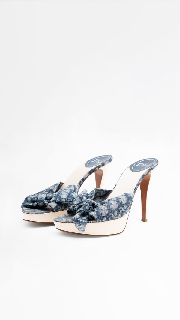 Dior Monogram Heels