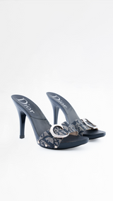 Dior Monogram CD Heels - EU 35.5
