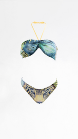 Roberto Cavalli Bikini