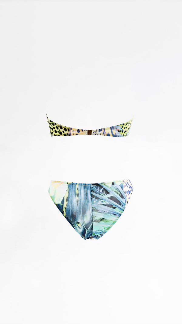 Roberto Cavalli Bikini