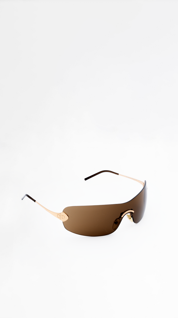 Dior Absolute Sunglasses