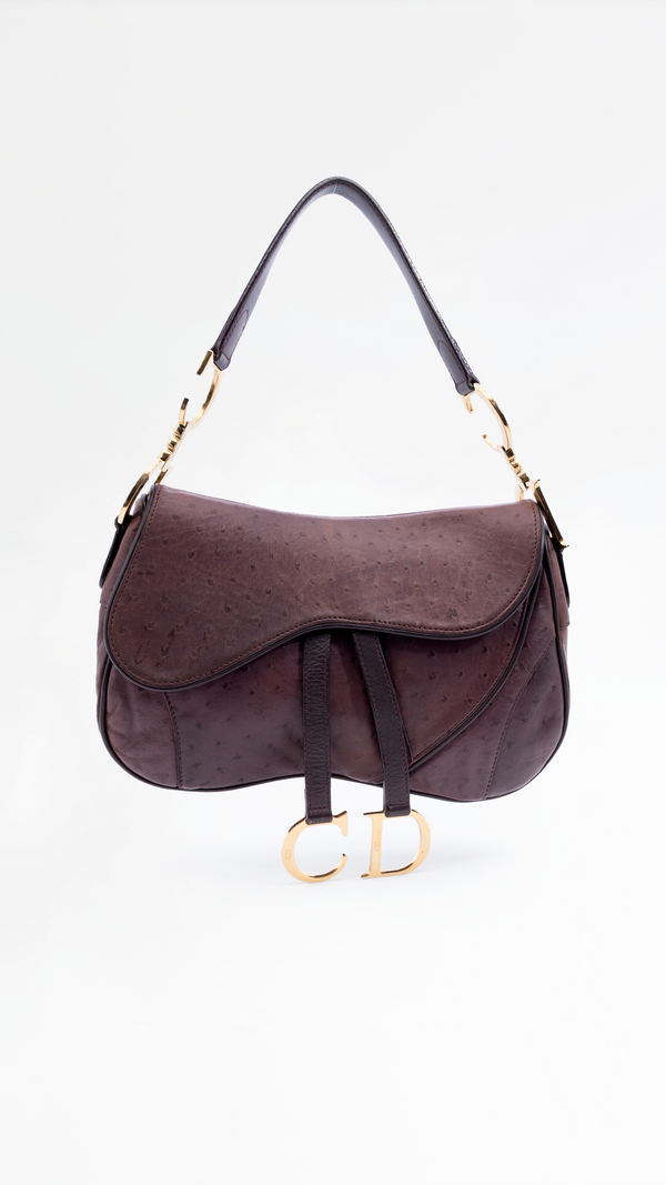 Dior Double Saddle Bag