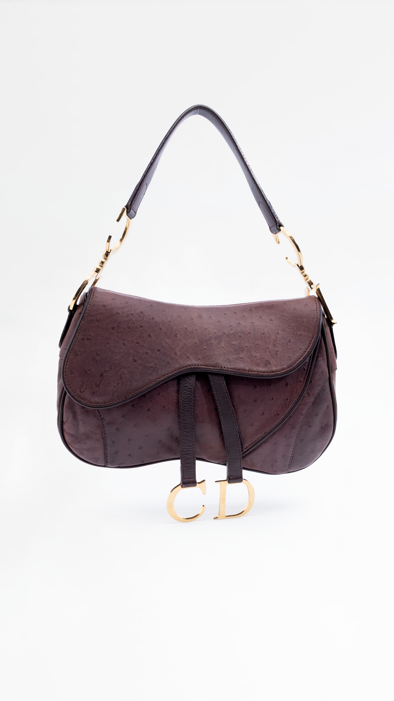 Dior Double Saddle Bag