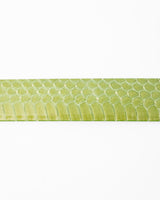 Dolce & Gabbana Leather Snakeskin Belt