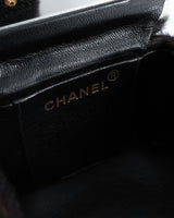 Chanel Pony Hair Mini Vanity Bag