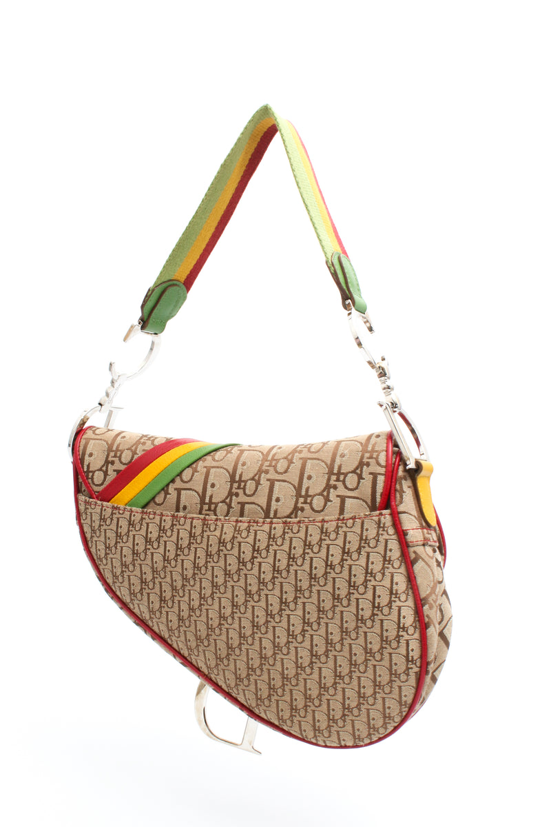 Dior Rasta Saddle Bag