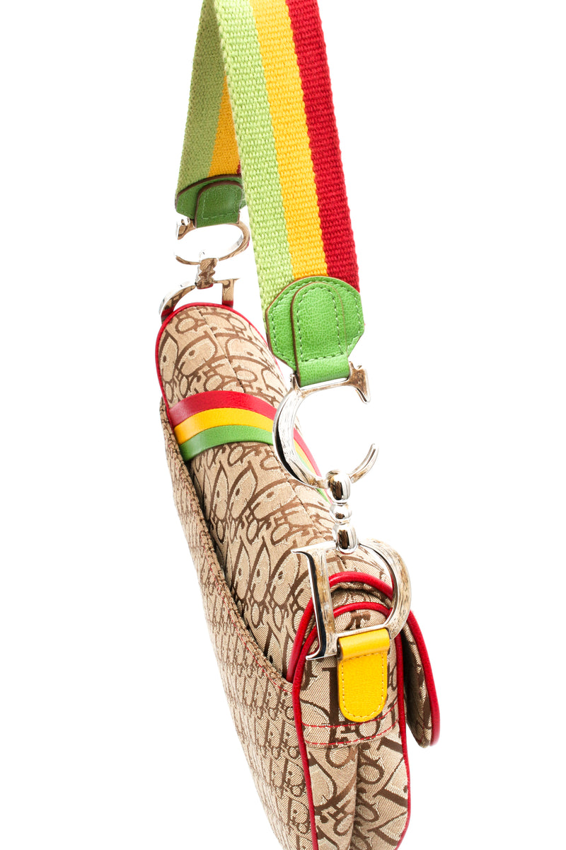 Dior Rasta Saddle Bag