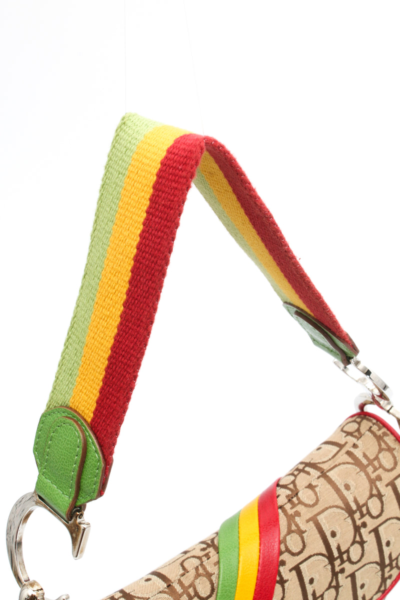 Dior Rasta Saddle Bag