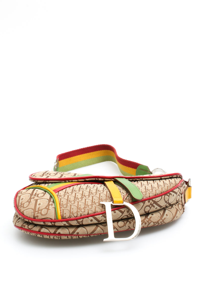 Dior Rasta Saddle Bag