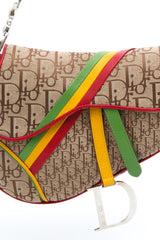 Dior Rasta Saddle Bag