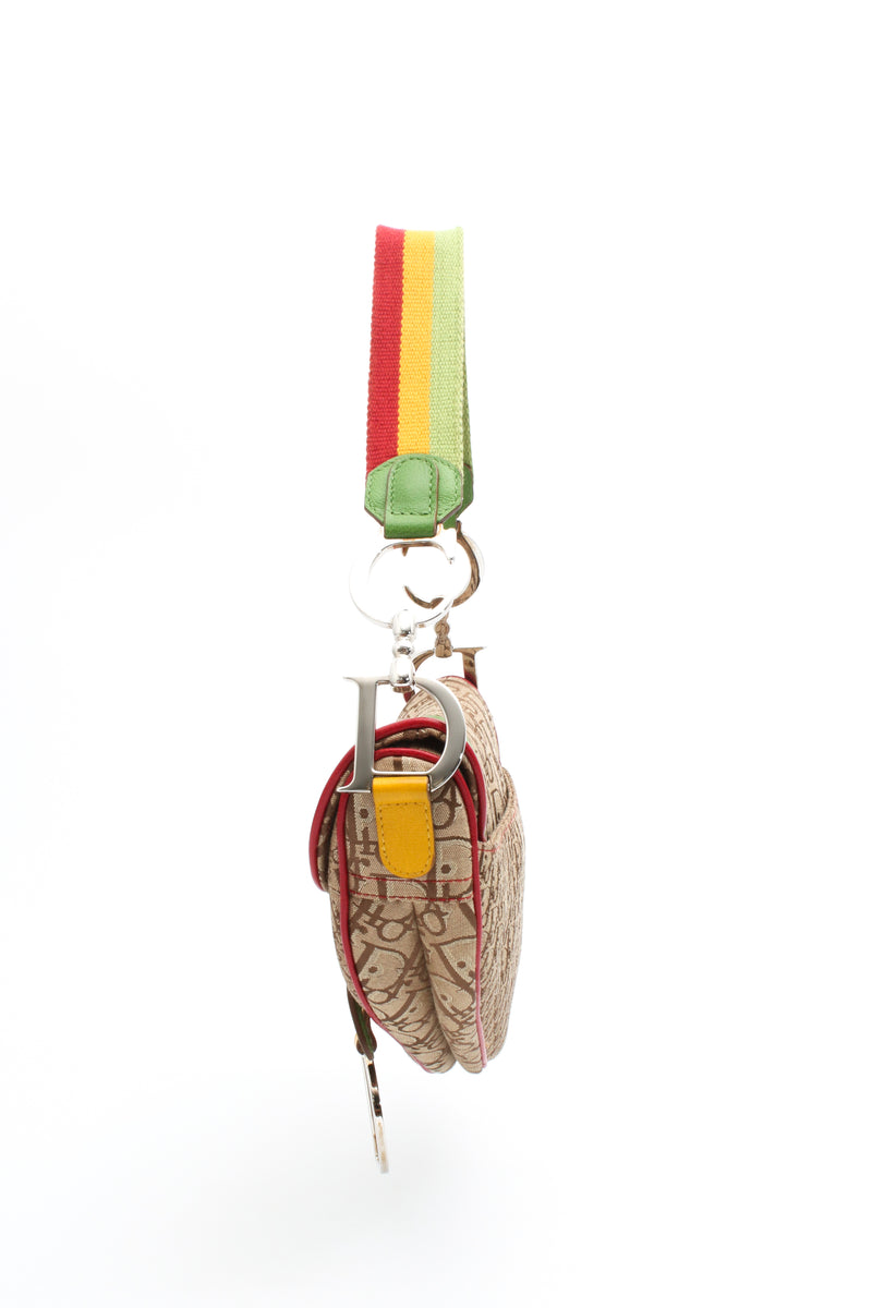Dior Rasta Saddle Bag