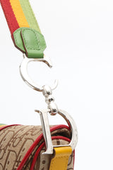 Dior Rasta Saddle Bag