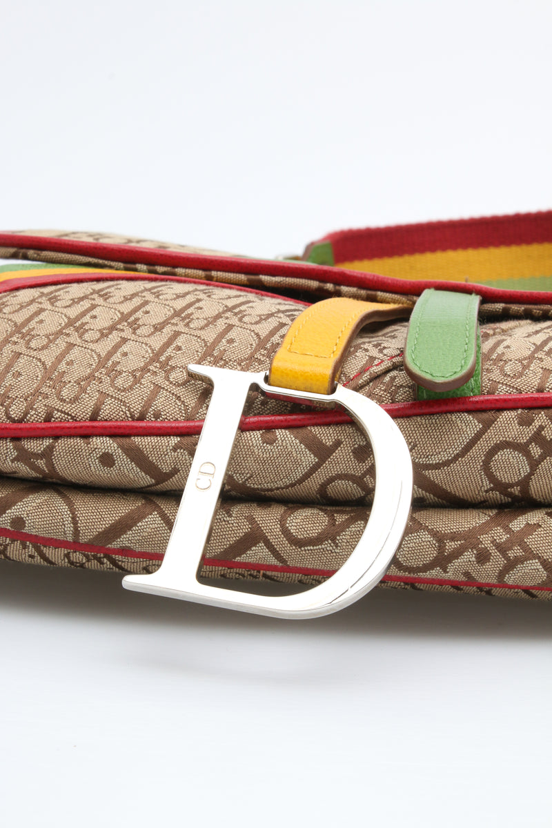 Dior Rasta Saddle Bag