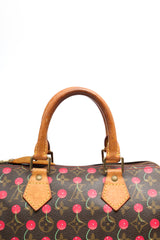 Louis Vuitton Cherry Speedy 25