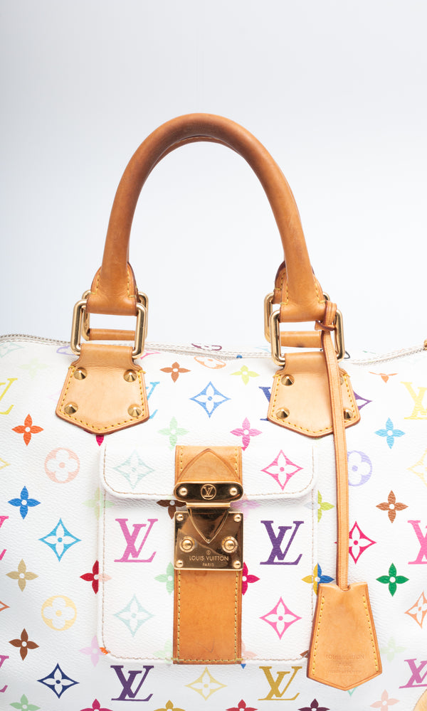 Louis Vuitton Multicolour Speedy 30