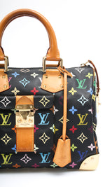 Louis Vuitton Multicolor Speedy 30