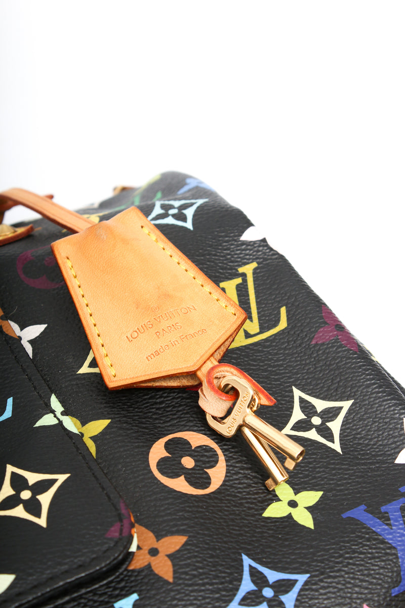Louis Vuitton Multicolor Speedy 30