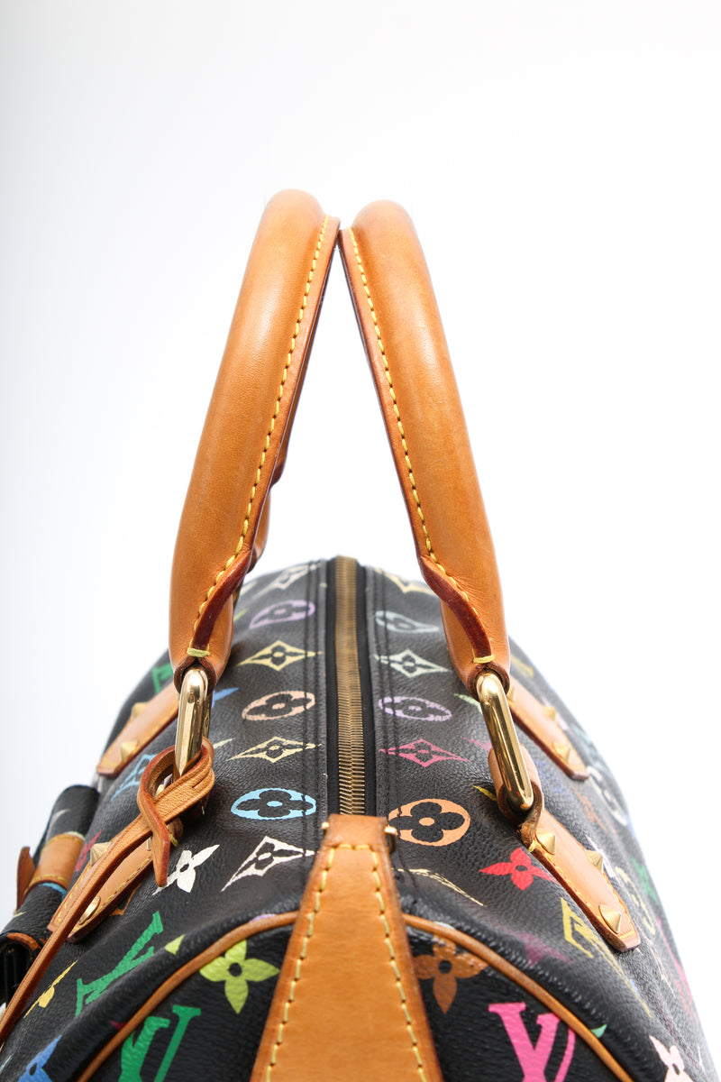 Louis Vuitton Multicolor Speedy 30